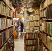 Día Internacional del libro
