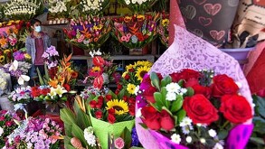 ¿Buscas flores para el 10 de mayo? Consulta los precios de rosas, ramos y orquídeas en los mercados de Guadalajara. ¡Opciones desde 300 pesos!