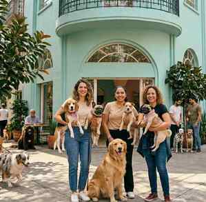 Si eres mamá de un perrito, este festival debe ser imperdible para ti y tu mascota, pasando un día lleno de increíbles experiencias.