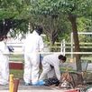 Peritaje por restos humanos en vía pública