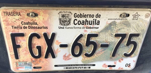 Las placas de dinosaurios marcaron una era en Coahuila y revelaron el pasado prehistórico del estado.