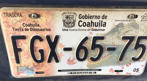 Las placas de dinosaurios marcaron una era en Coahuila y revelaron el pasado prehistórico del estado.
