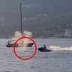 Hombre en moto acuática a punto de chocar contra una ballena gris en aguas de Canadá con una embarcación detrás