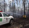 Bomberos trabajando