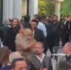 Mariana Gutiérrez, abogada de las estrellas, maltrata perro en CdMx