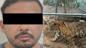 José Antonio 'N' detenido en San Pedro