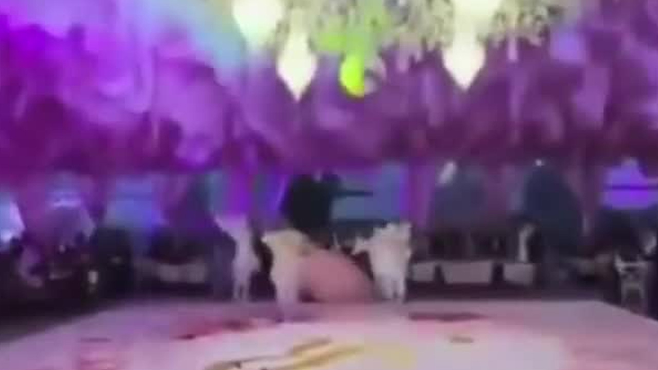 La lujosa fiesta de XV años de la hija del alcalde morenista Juan Rivera Trejo generó críticas en redes sociales.
