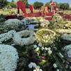 Tumba de El Mencho con flores