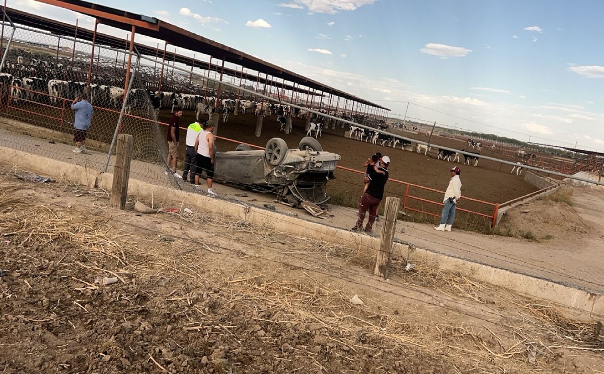 Automóvil volcado que terminó al interior de un establo en el  ejido Brittingham de Gómez Palacio.