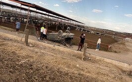 Automóvil volcado que terminó al interior de un establo en el  ejido Brittingham de Gómez Palacio.