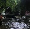 rescate de protección civil y bomberos tras inundación