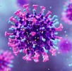 Hantavirus, representación de virus