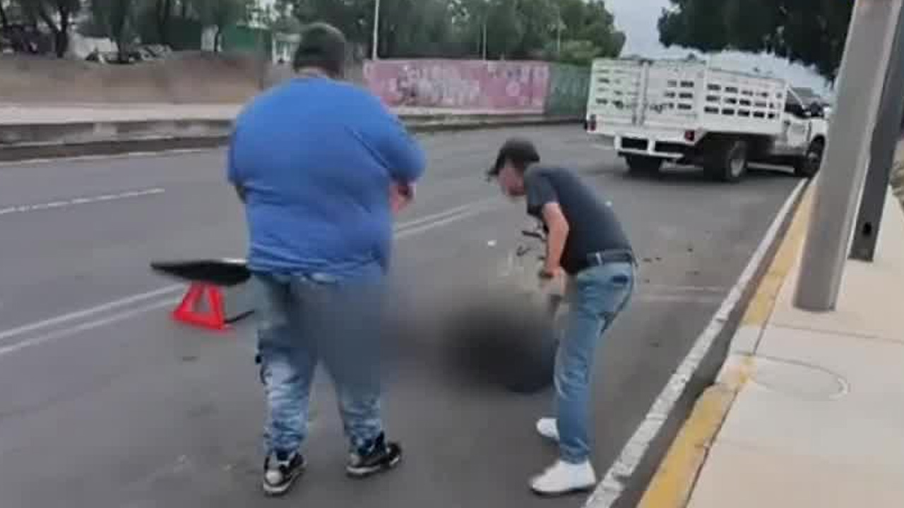 Activistas y vecinos denunciaron el hallazgo de animales decapitados en el Gran Canal, en Gustavo A. Madero.