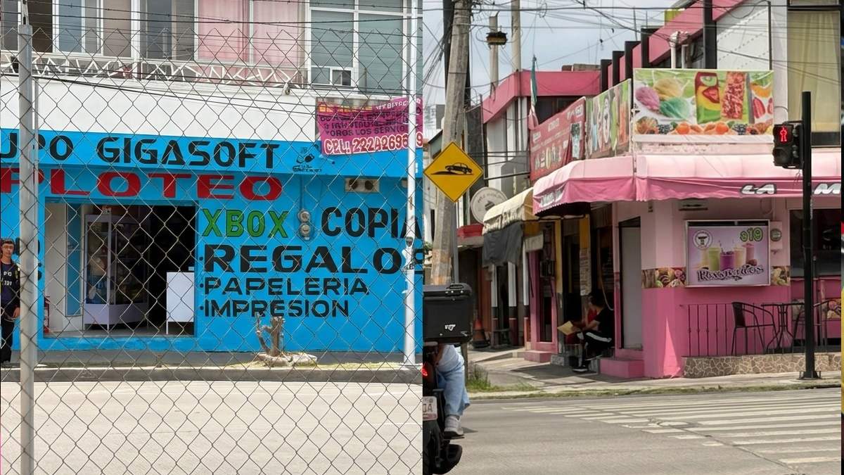 Establecimientos de productos de consumo localizados en Puebla