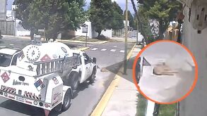 Perro atropellado Huejotzingo por un camión de gas.