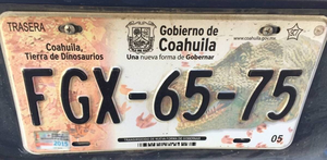 Las placas de dinosaurios marcaron una era en Coahuila y revelaron el pasado prehistórico del estado.