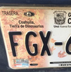 Las placas de dinosaurios marcaron una era en Coahuila y revelaron el pasado prehistórico del estado.