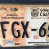 Las placas de dinosaurios marcaron una era en Coahuila y revelaron el pasado prehistórico del estado.