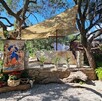 Fieles creyentes de la Virgen Desata Nudos han quedado maravillados con los miles de milagros que han concebido a todos depositan su confianza en ella.