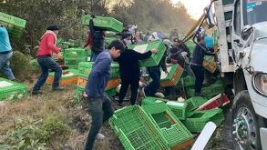 Personas robando mercancía luego del accidente de un tractocamión en una autopista de Veracruz.