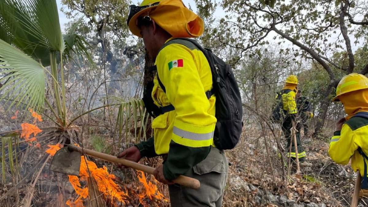 Bomberos apagan las llamas vivas tras el incendio con trajes de seguridad anti fuego