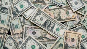 Dólar estadunidense