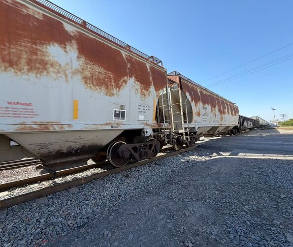 Una pequeña de 3 años falleció en el bulevar Vito Alessio Robles tras un accidente ferroviario. Su madre relata que la carriola quedó atrapada en el cruce.