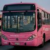 Conductora de unidad rosa del Mexibús crea espacio seguro