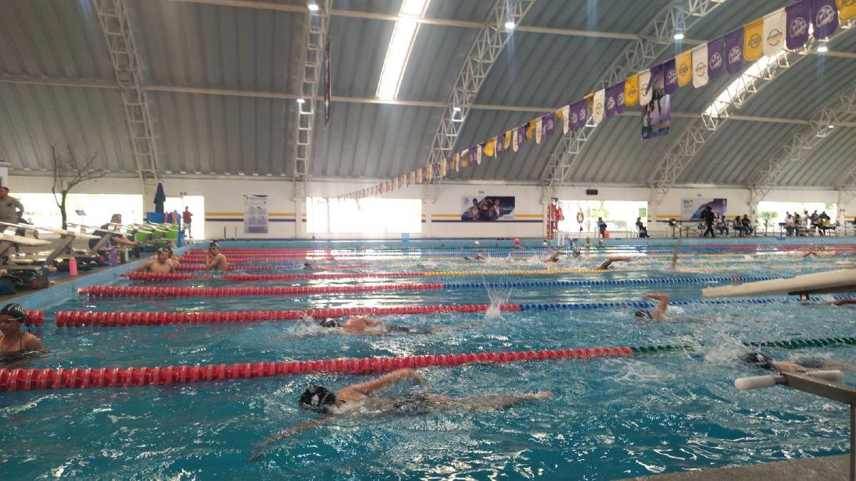 Competidor nada en una piscina como parte de la olimpiada nacional