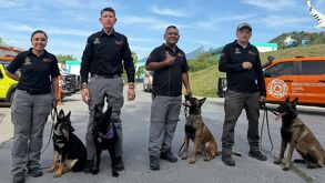 Protección Civil NL refuerza su equipo K9 con Yanda, Furia y Harley, tres hembras especialistas en búsqueda de personas y restos humanos.