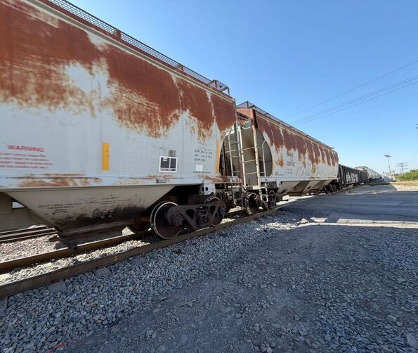 Una pequeña de 3 años falleció en el bulevar Vito Alessio Robles tras un accidente ferroviario. Su madre relata que la carriola quedó atrapada en el cruce.