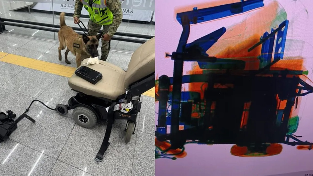 Autoridades federales detuvieron a un hombre en el AICM tras descubrir más de 8 kilos de presunta cocaína ocultos en una silla de ruedas.