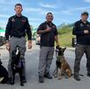Protección Civil NL refuerza su equipo K9 con Yanda, Furia y Harley, tres hembras especialistas en búsqueda de personas y restos humanos.