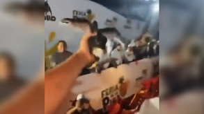 Pollos lanzados durante el carnaval de Veracruz