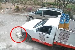 Captura de un video de seguridad donde un camión repartidor de gas está a punto de arrollar a un perro callejero