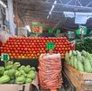 El precio de diferentes productos de la canasta básica para despensa como el jitomate, han incrementado en León. Así los costos en el Descargue Estrella.