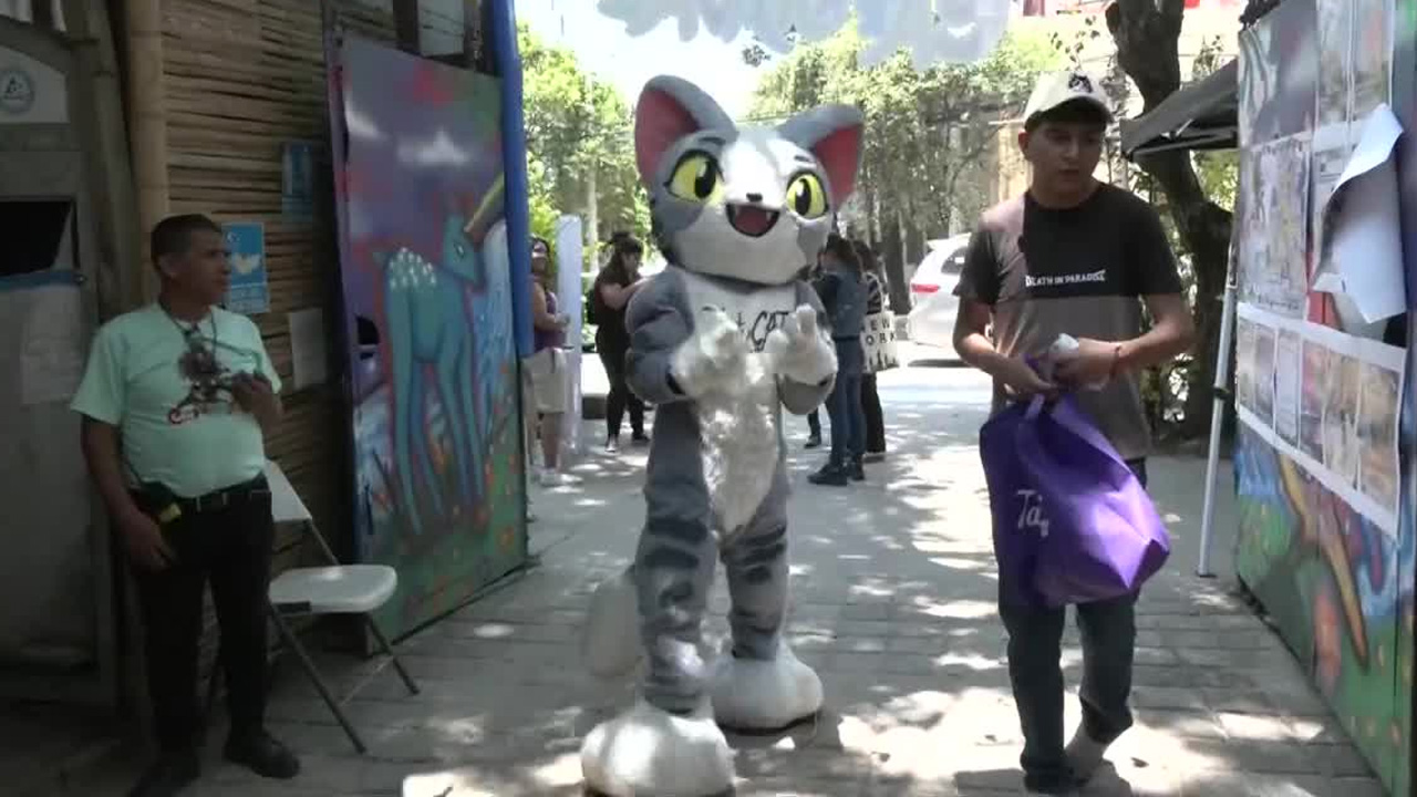 El Miau Fest “Catrnaval” 2026 se realizó en el Huerto Roma Verde con actividades para amantes de los gatos.