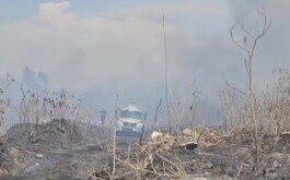 Incendio en pastizal