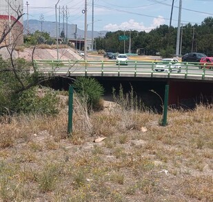 Se observa un puente y hay varios automóviles circulando en la vialidad.