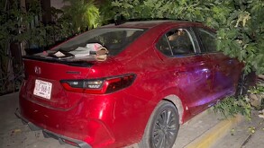 Una conductora de 27 años perdió el control de su Honda y se estrelló contra un árbol en la calle Vicente Rangel tras ir por su pastel de cumpleaños.