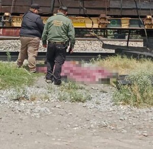 Se observan unas vías del tren, hay unas personas paradas.