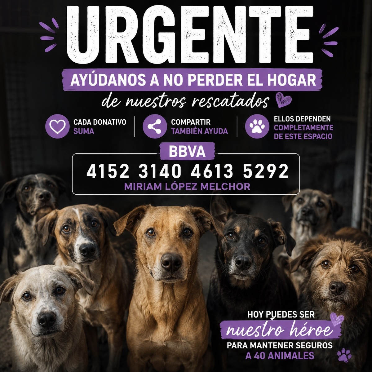 El albergue Alma Animal, un pilar del rescate canino en Gómez Palacio durante los últimos 12 años, atraviesa uno de sus momentos más críticos.