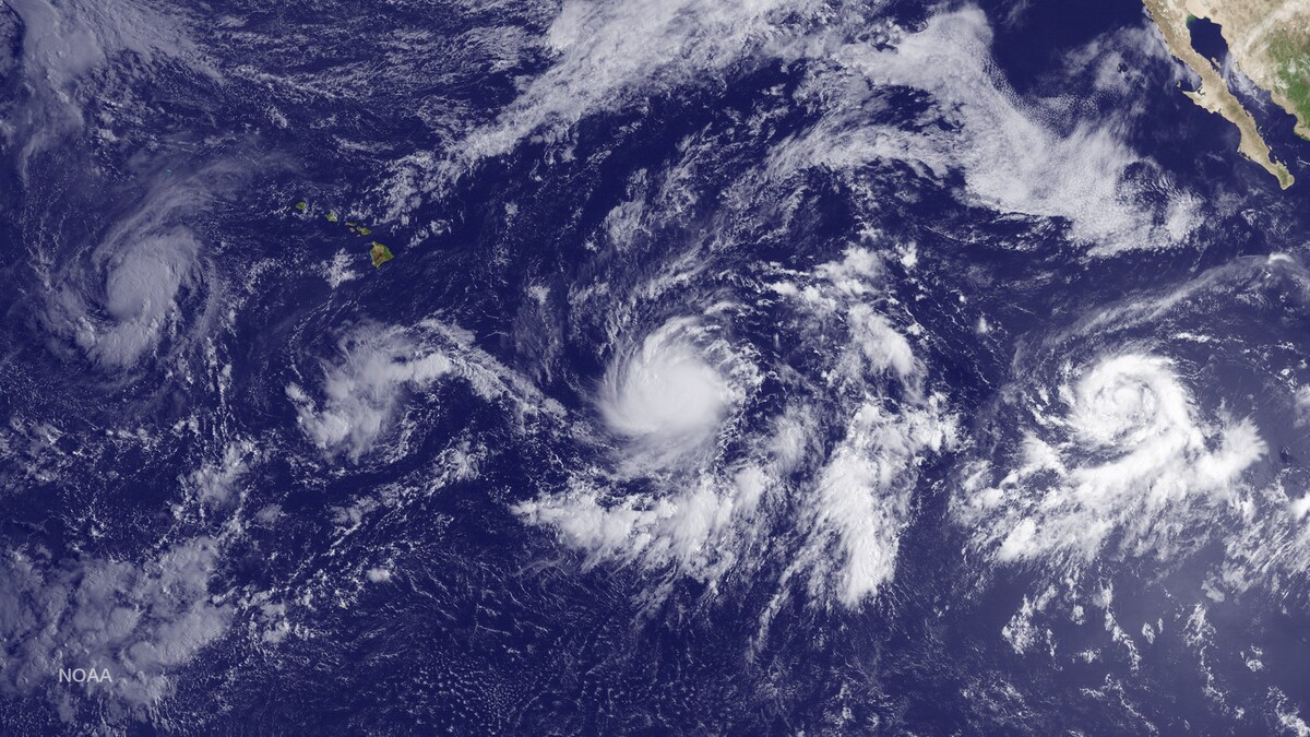 Científicos advierten extremos fenómenos debido a 'El Niño Godzilla'  en el océano Pacífico.
