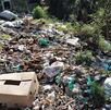 Basura y residuos navegando en el agua de un río.