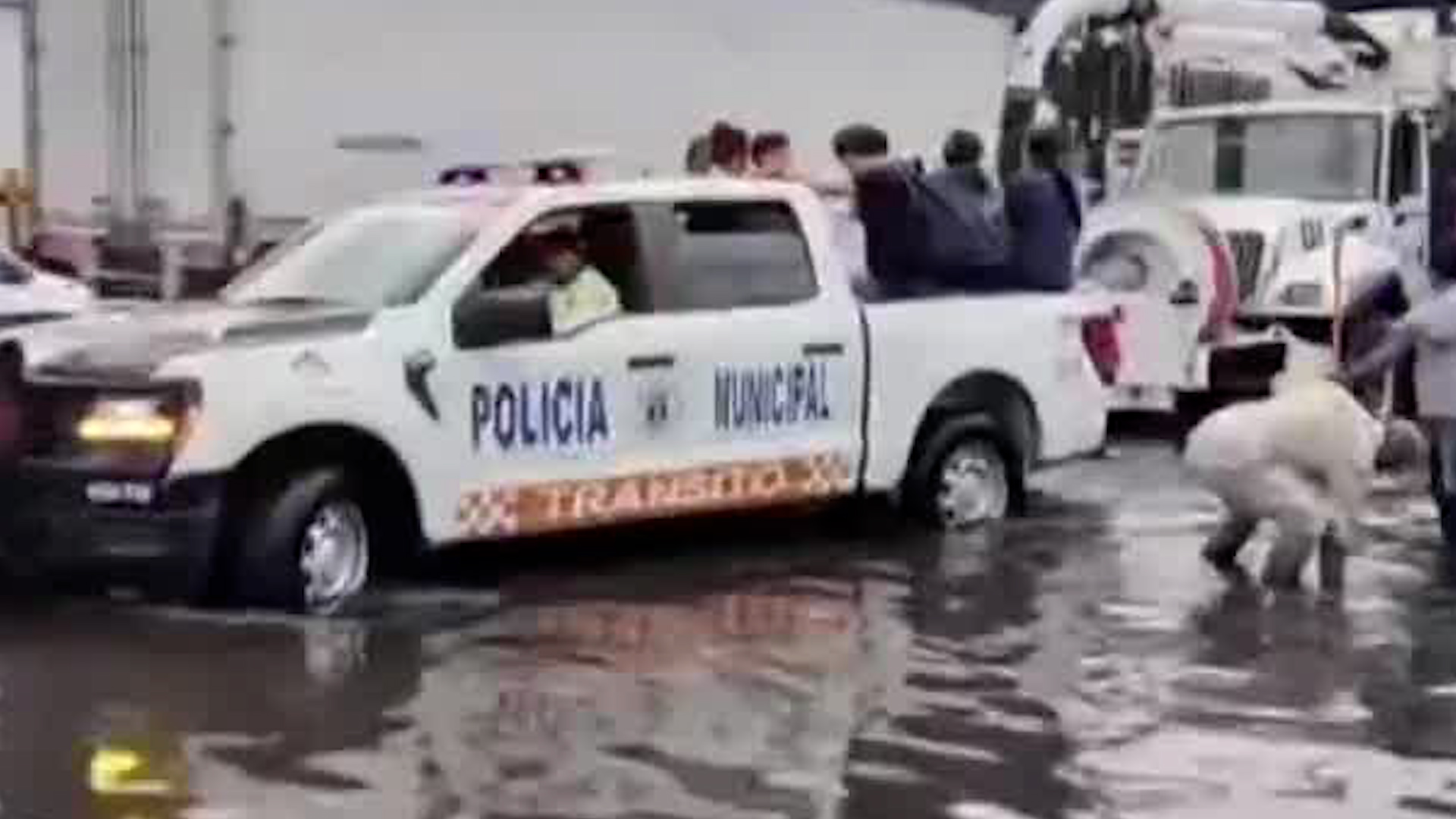 Telediario nocturno CdMx, martes 19 de mayo 2026.