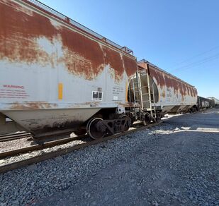 Una pequeña de 3 años falleció en el bulevar Vito Alessio Robles tras un accidente ferroviario. Su madre relata que la carriola quedó atrapada en el cruce.