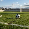 Se observa una cancha de futbol con un balón en medio.