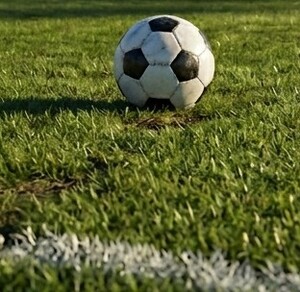 Se observa una cancha de futbol con un balón en medio.