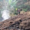 Bombero de Zapopan arrojando agua con una manguera a un incendio en un parque con troncos quemados y una columna de humo alrededor
