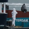 Varias personas con equipo protector retiran desechos del crucero MV Hondius tras su arribo al puerto de Rotterdam, Holanda, el lunes 18 de mayo de 2026.